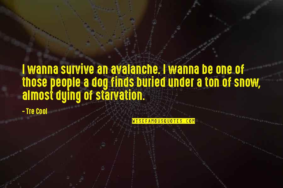 Dog Dying Quotes By Tre Cool: I wanna survive an avalanche. I wanna be