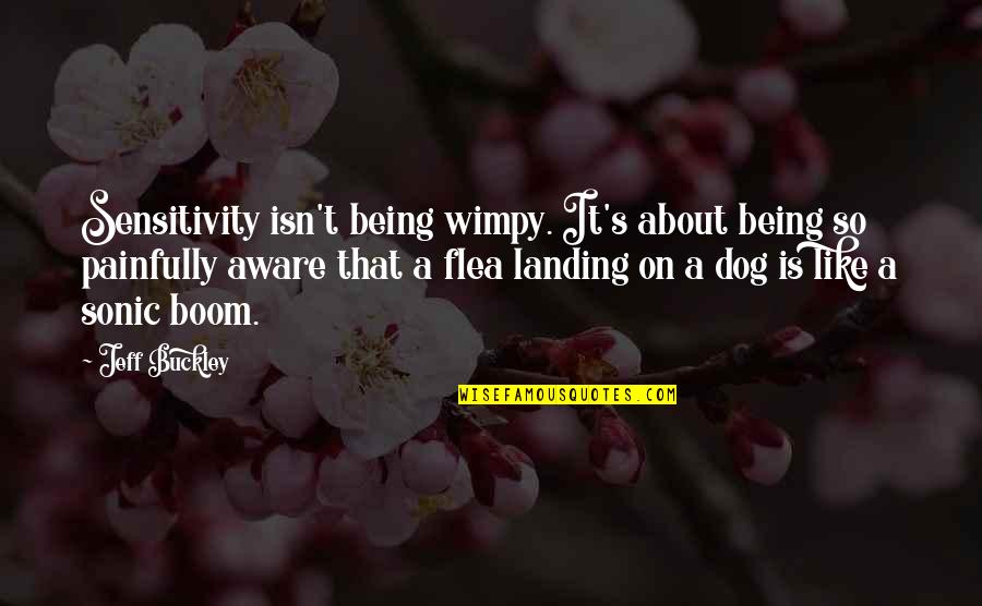 Dog Flea Quotes By Jeff Buckley: Sensitivity isn't being wimpy. It's about being so