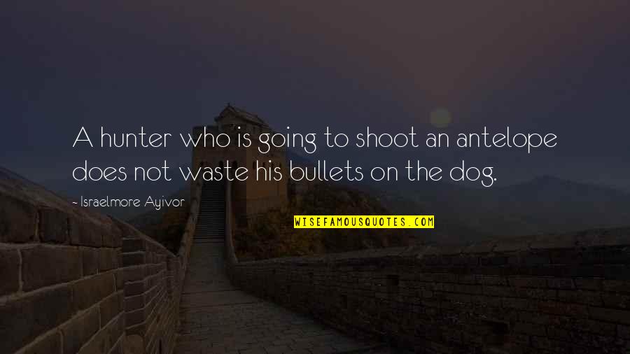 Dog Food Quotes By Israelmore Ayivor: A hunter who is going to shoot an