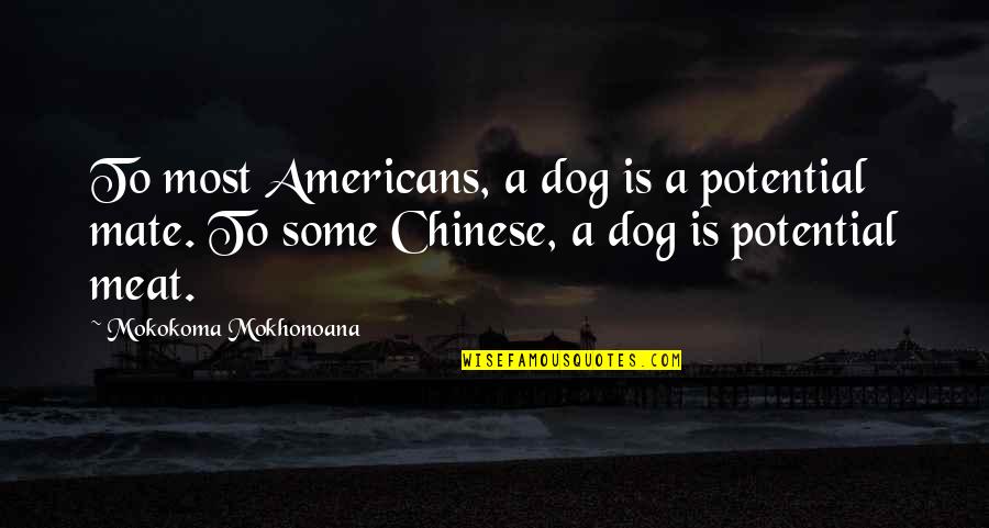 Dog Food Quotes By Mokokoma Mokhonoana: To most Americans, a dog is a potential