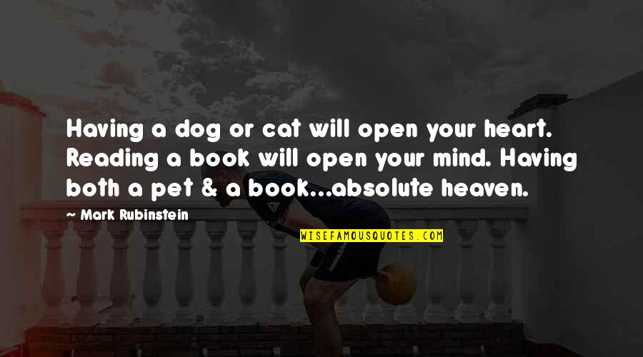 Dog Heaven Quotes By Mark Rubinstein: Having a dog or cat will open your