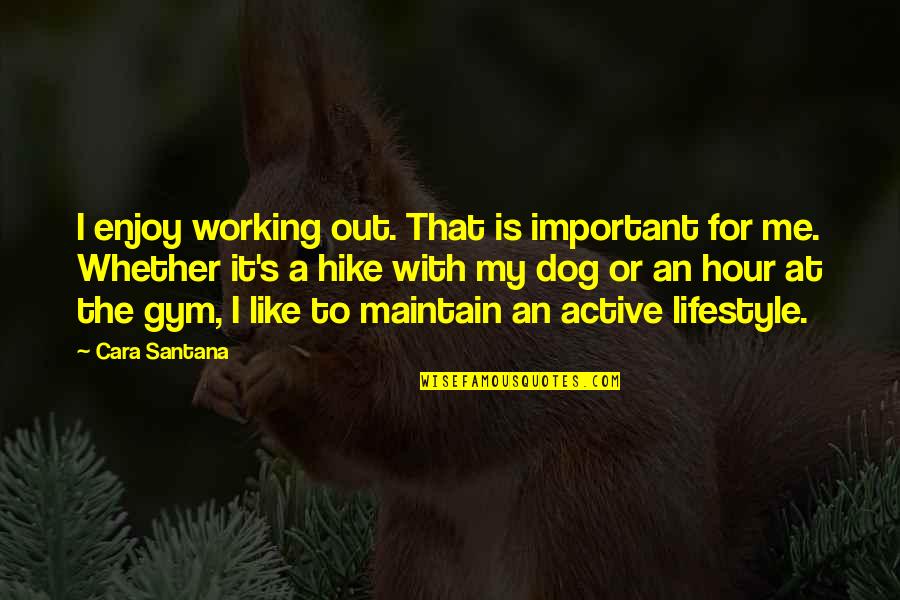 Dog Hike Quotes By Cara Santana: I enjoy working out. That is important for