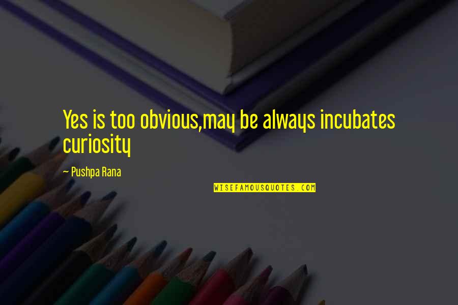 Dog Id Quotes By Pushpa Rana: Yes is too obvious,may be always incubates curiosity