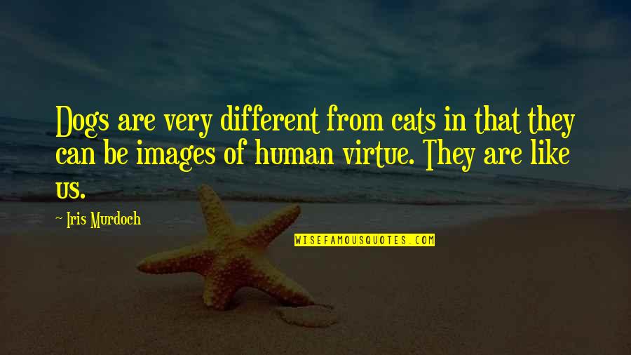 Dog Images And Quotes By Iris Murdoch: Dogs are very different from cats in that