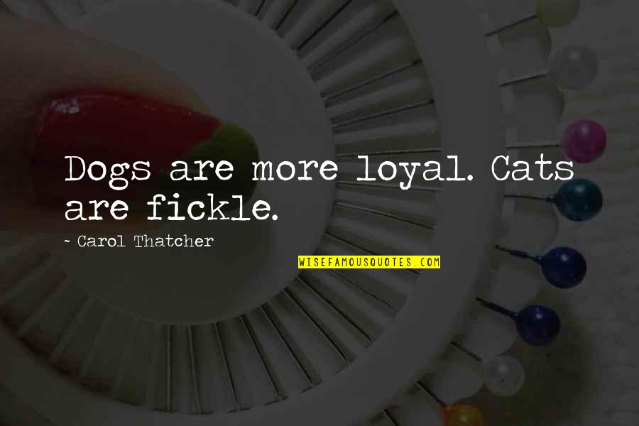 Dog Is Loyal Quotes By Carol Thatcher: Dogs are more loyal. Cats are fickle.