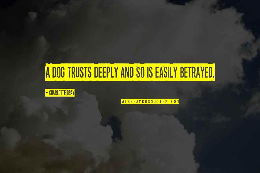 Dog Is Quotes By Charlotte Gray: A dog trusts deeply and so is easily Dog Is Quotes By Charlotte Gray: A dog trusts deeply and so is easily