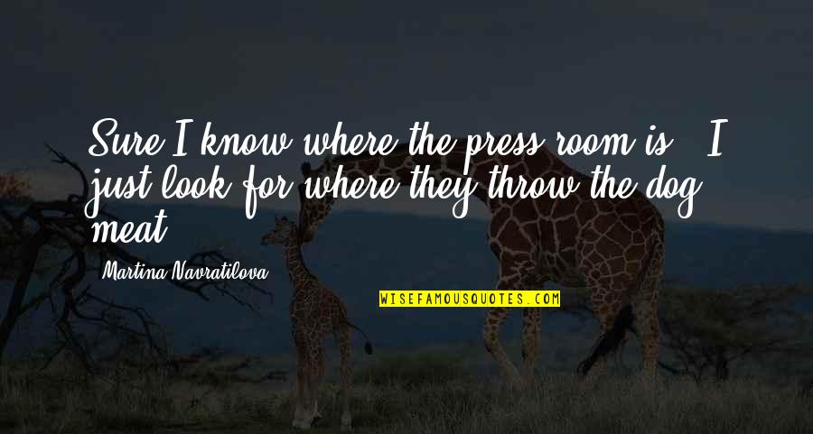 Dog Is Quotes By Martina Navratilova: Sure I know where the press room is Dog Is Quotes By Martina Navratilova: Sure I know where the press room is