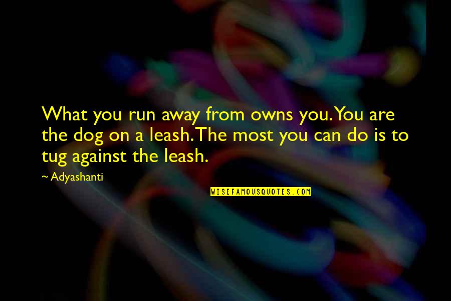 Dog Leash Quotes By Adyashanti: What you run away from owns you. You