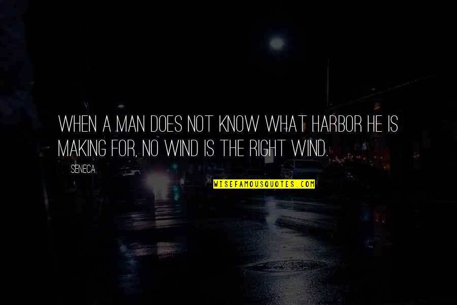 Dog Like Cats Quotes By Seneca.: When a man does not know what harbor