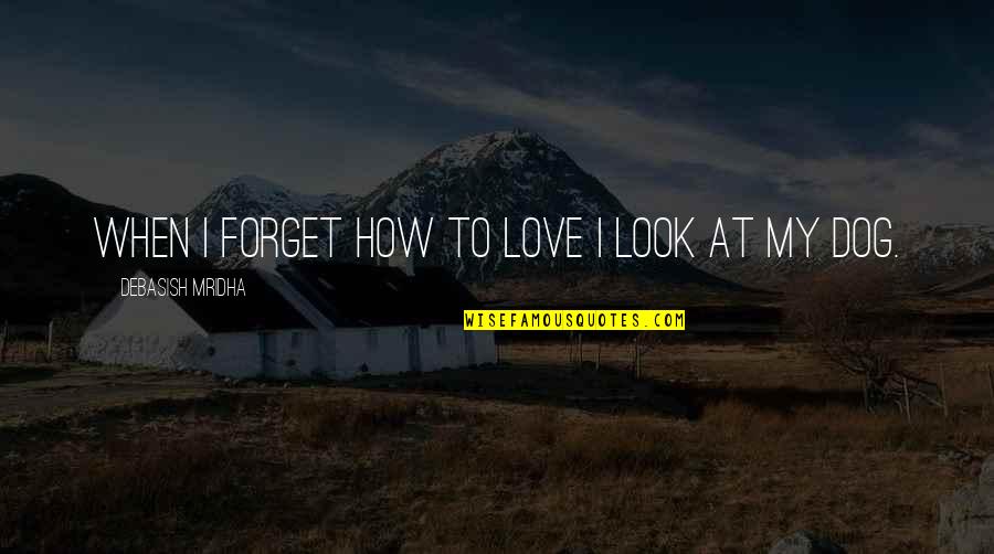 Dog Love Quotes By Debasish Mridha: When I forget how to love I look