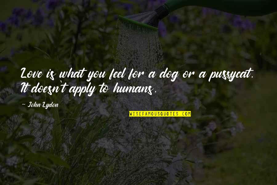 Dog Love Quotes By John Lydon: Love is what you feel for a dog