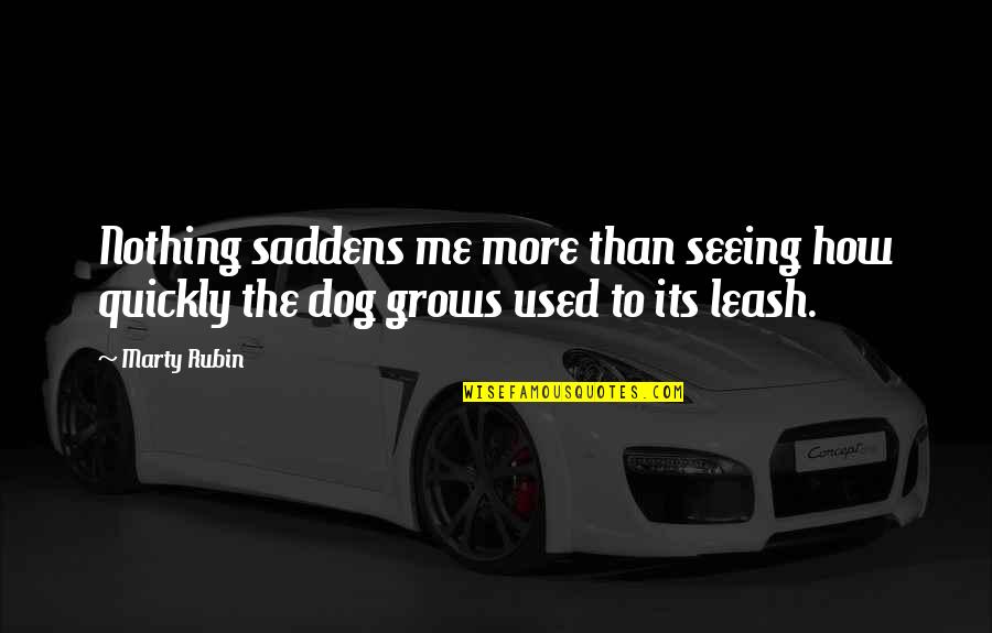 Dog Obedience Quotes By Marty Rubin: Nothing saddens me more than seeing how quickly