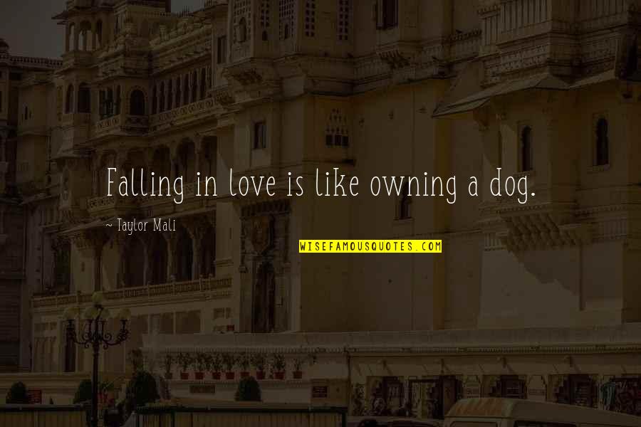 Dog Owning Quotes By Taylor Mali: Falling in love is like owning a dog.