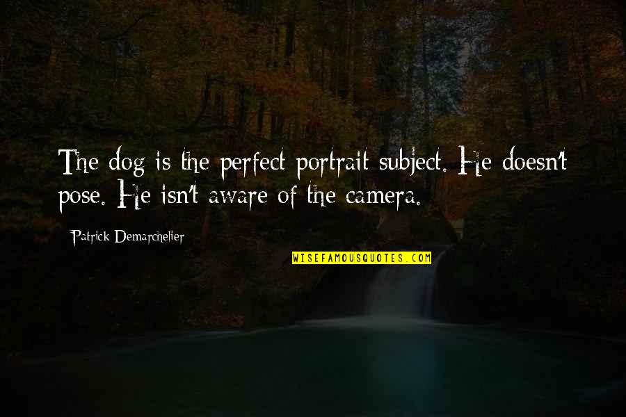 Dog Pose Quotes By Patrick Demarchelier: The dog is the perfect portrait subject. He