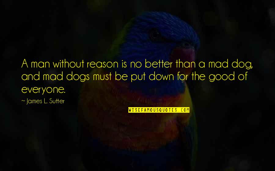Dog Put Down Quotes By James L. Sutter: A man without reason is no better than