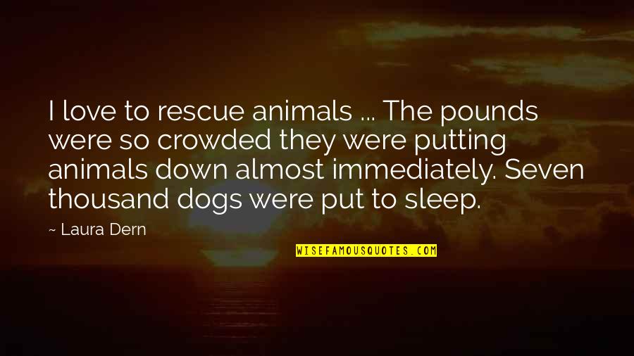 Dog Put Down Quotes By Laura Dern: I love to rescue animals ... The pounds