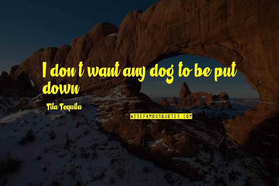 Dog Put Down Quotes By Tila Tequila: I don't want any dog to be put