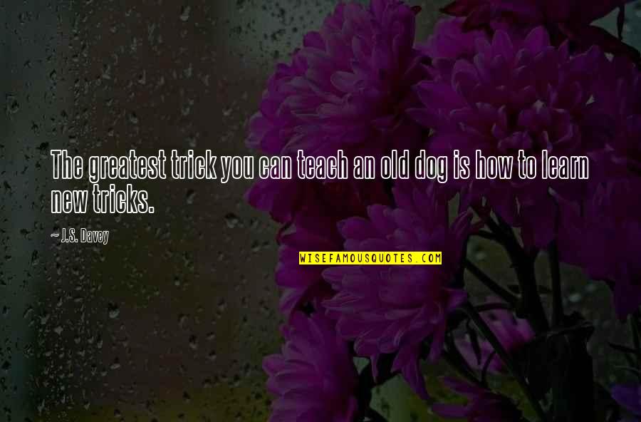 Dog Quotes And Quotes By J.S. Davey: The greatest trick you can teach an old