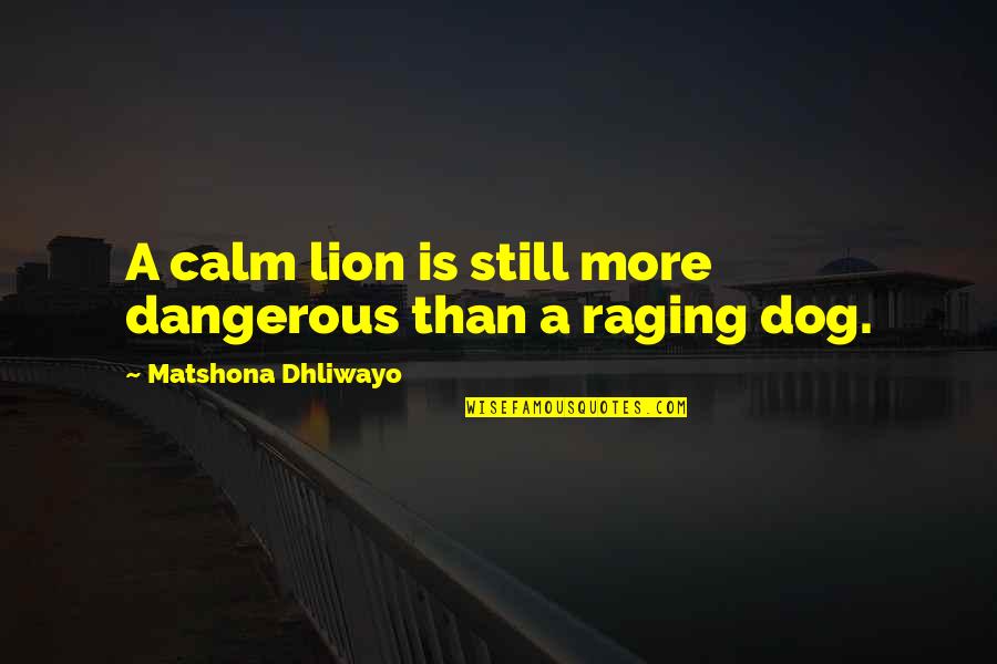 Dog Quotes And Quotes By Matshona Dhliwayo: A calm lion is still more dangerous than