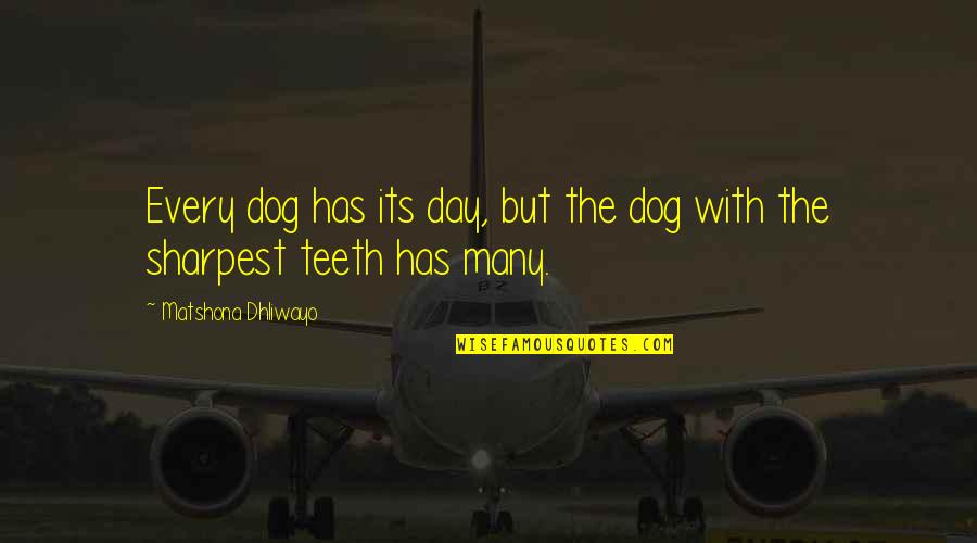 Dog Quotes And Quotes By Matshona Dhliwayo: Every dog has its day, but the dog