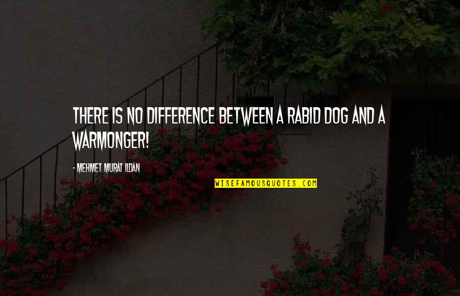 Dog Quotes And Quotes By Mehmet Murat Ildan: There is no difference between a rabid dog