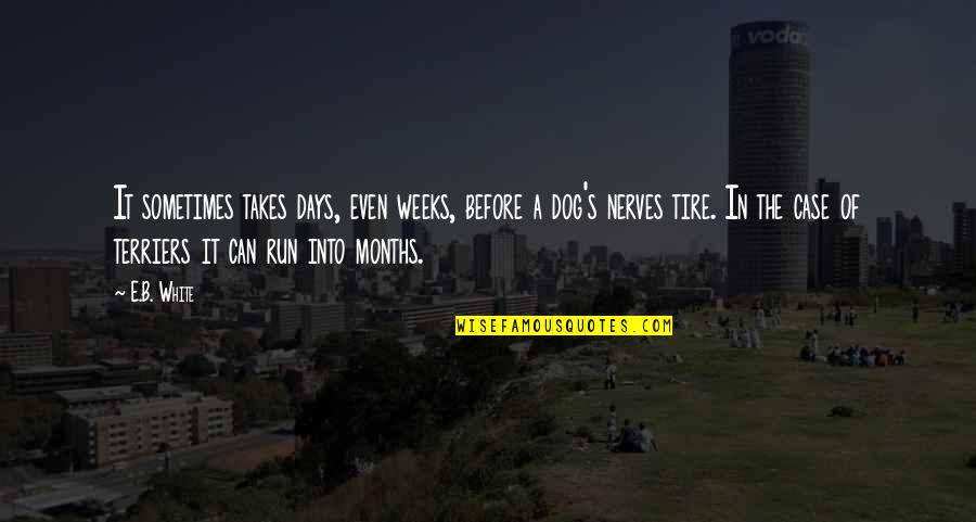 Dog Running Quotes By E.B. White: It sometimes takes days, even weeks, before a Dog Running Quotes By E.B. White: It sometimes takes days, even weeks, before a