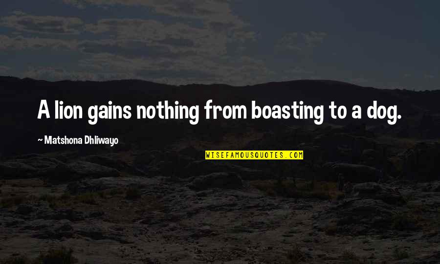 Dog Sayings And Quotes By Matshona Dhliwayo: A lion gains nothing from boasting to a Dog Sayings And Quotes By Matshona Dhliwayo: A lion gains nothing from boasting to a