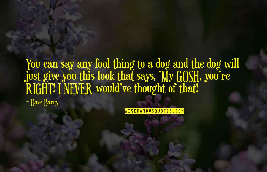 Dog Says Quotes By Dave Barry: You can say any fool thing to a