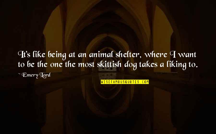 Dog Shelter Quotes By Emery Lord: It's like being at an animal shelter, where