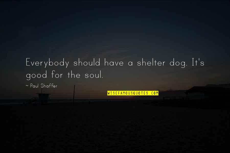 Dog Shelter Quotes By Paul Shaffer: Everybody should have a shelter dog. It's good