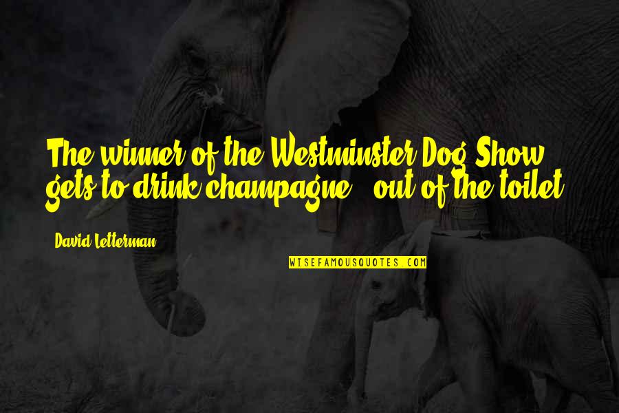 Dog Show Quotes By David Letterman: The winner of the Westminster Dog Show gets