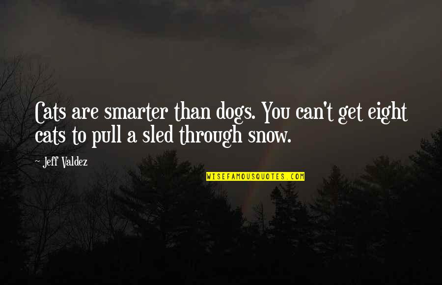 Dog Sled Quotes By Jeff Valdez: Cats are smarter than dogs. You can't get