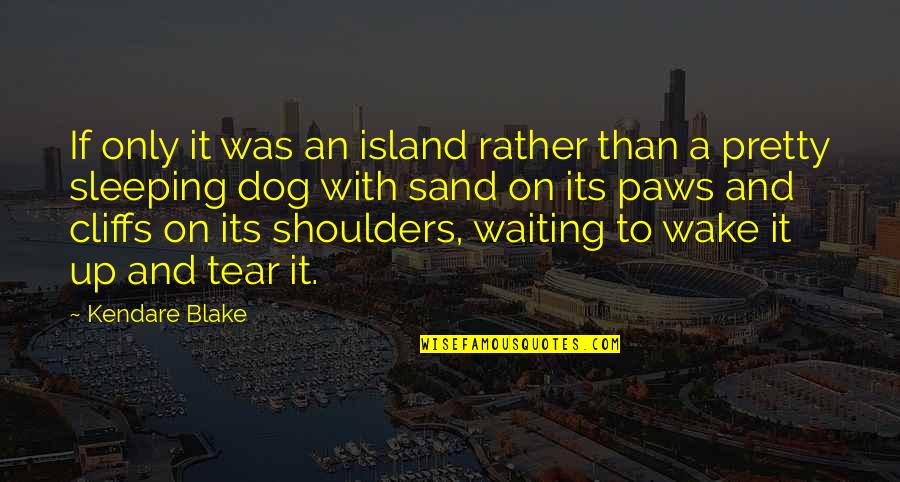 Dog Sleeping Quotes By Kendare Blake: If only it was an island rather than