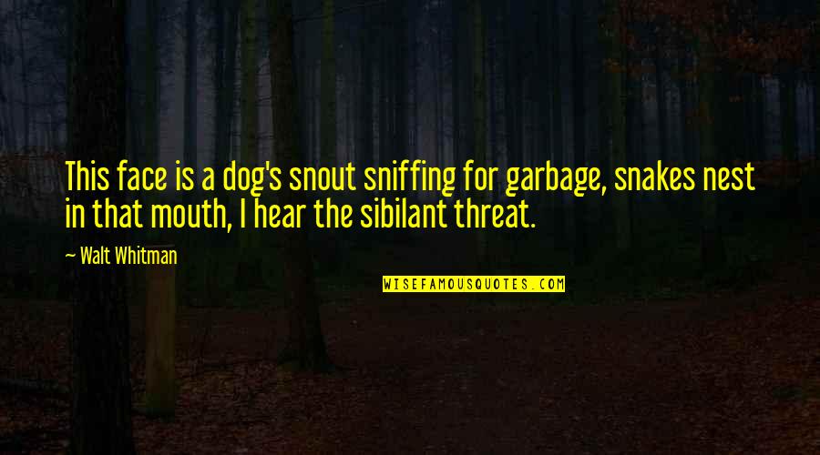 Dog Sniffing Quotes By Walt Whitman: This face is a dog's snout sniffing for
