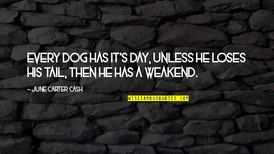 Dog Tail Quotes By June Carter Cash: Every dog has it's day, unless he loses