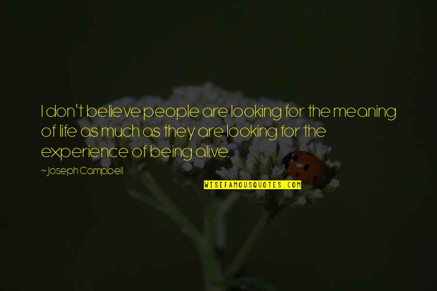 Dog That Died Quotes By Joseph Campbell: I don't believe people are looking for the
