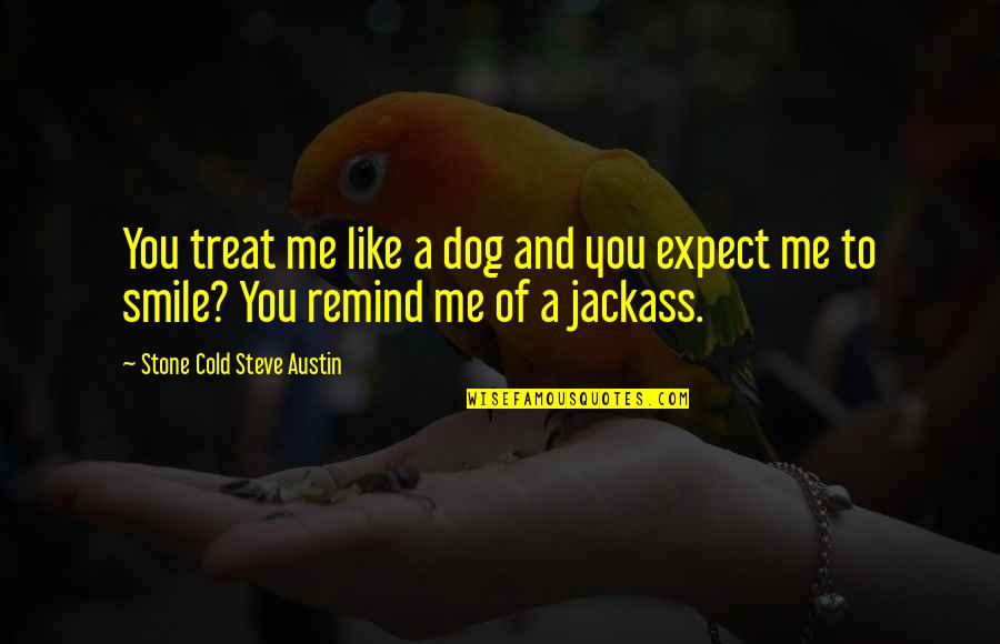 Dog Treat Quotes By Stone Cold Steve Austin: You treat me like a dog and you