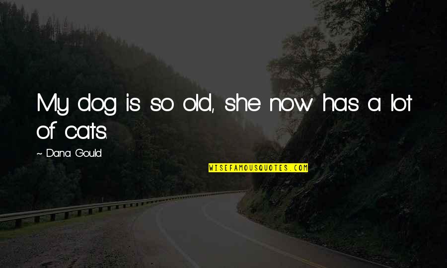 Dog Vs Cat Quotes By Dana Gould: My dog is so old, she now has