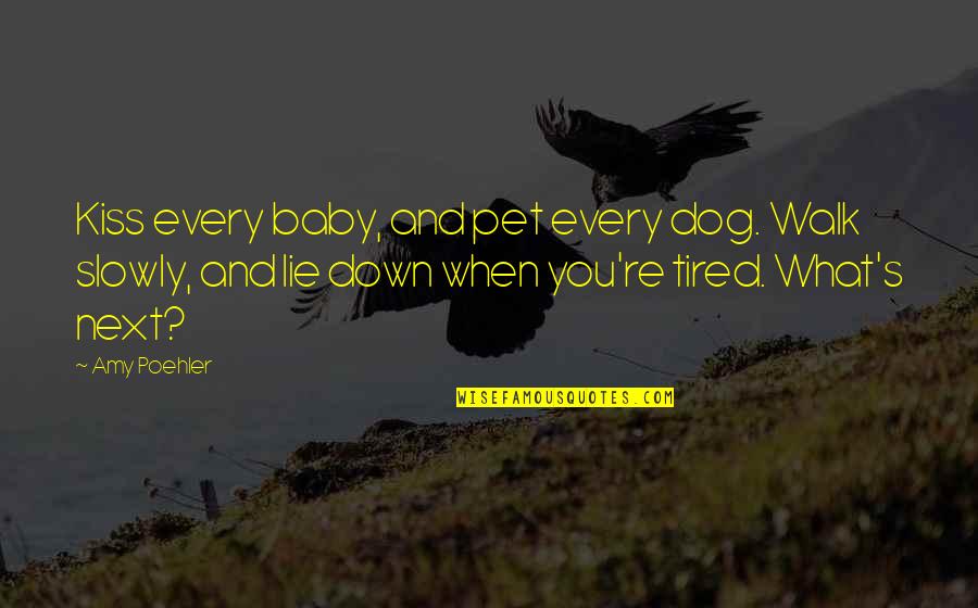 Dog Walk Quotes By Amy Poehler: Kiss every baby, and pet every dog. Walk