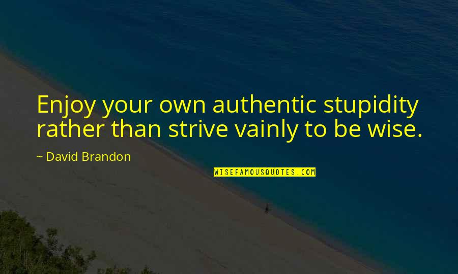 Dog Walking In The Rain Quotes By David Brandon: Enjoy your own authentic stupidity rather than strive