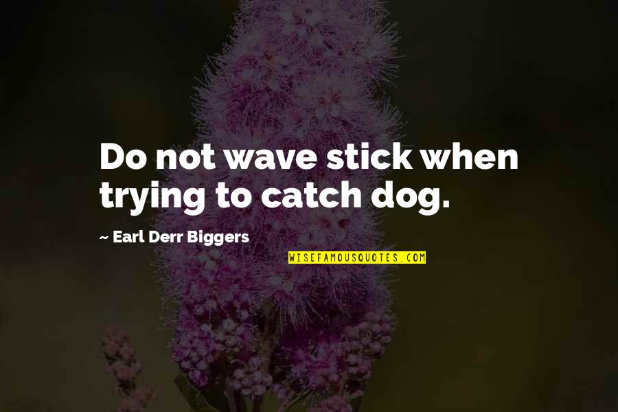 Dog With Stick Quotes By Earl Derr Biggers: Do not wave stick when trying to catch