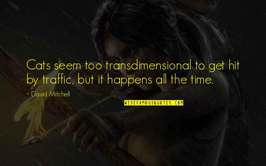 Doganay Oguzun Sevgilisi Quotes By David Mitchell: Cats seem too transdimensional to get hit by