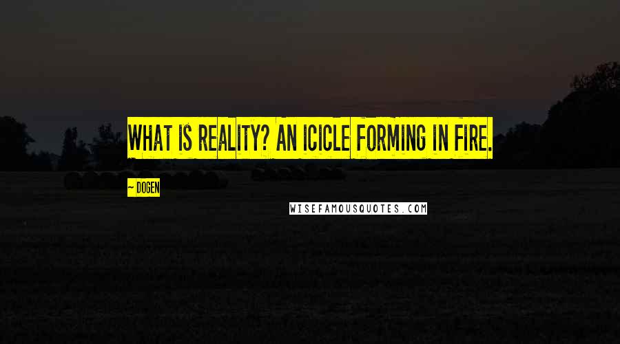 Dogen quotes: What is reality? An icicle forming in fire.