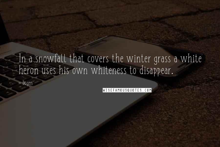 Dogen quotes: In a snowfall that covers the winter grass a white heron uses his own whiteness to disappear.