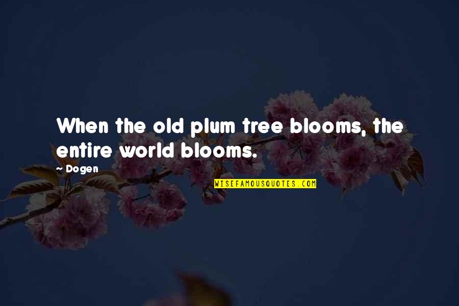 Dogen Quotes By Dogen: When the old plum tree blooms, the entire