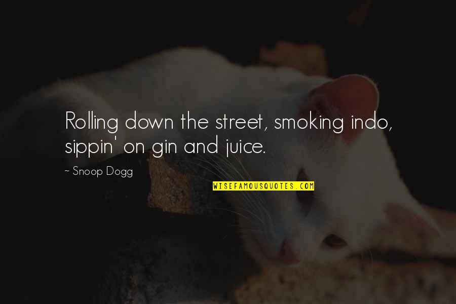 Dogg Quotes By Snoop Dogg: Rolling down the street, smoking indo, sippin' on