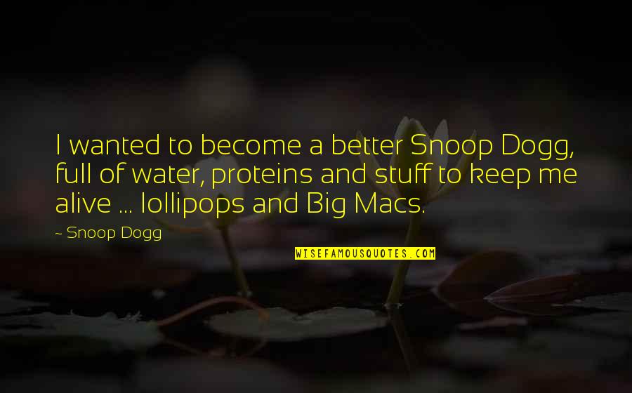 Dogg Quotes By Snoop Dogg: I wanted to become a better Snoop Dogg,