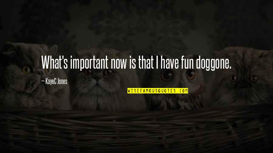 Doggone Fun Quotes By KayeC Jones: What's important now is that I have fun