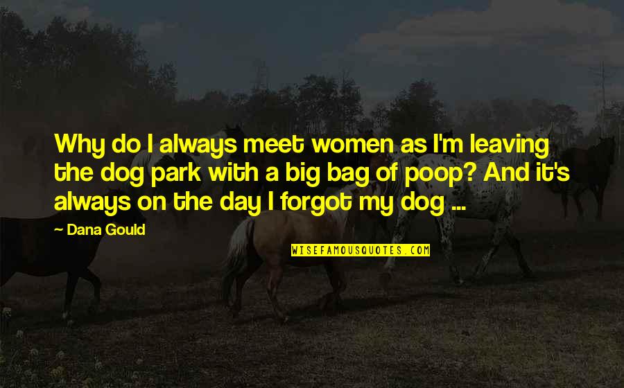 Dog'll Quotes By Dana Gould: Why do I always meet women as I'm