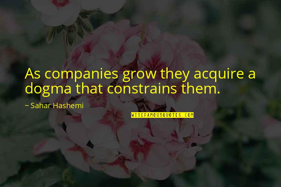 Dogma Quotes By Sahar Hashemi: As companies grow they acquire a dogma that